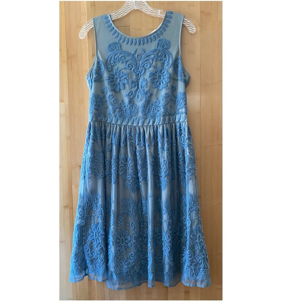 Sundance Embroidered Overlay Dress ~ Floral Embroidery